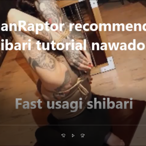 Fast usagi shibari