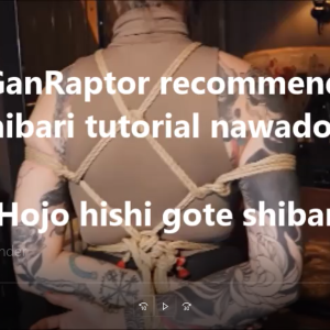 Hojo hishi gote shibari