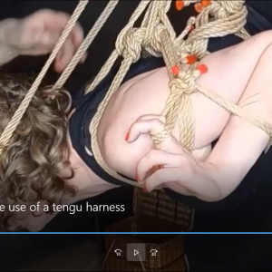 Suspension with the use of a tengu harness